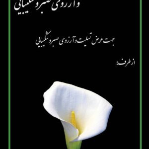 استند تسلیت کد 3.3